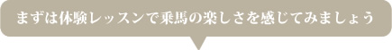 まずは体験レッスンで乗馬の楽しさを感じてみましょう