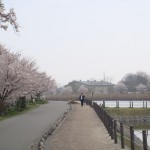 大沼の風景