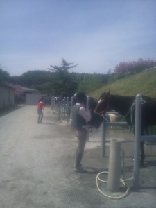 20110515132823.jpg