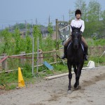 馬場馬術は地道だけど・・・