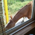 最初の写真は、どこでしょう?