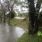 大雨特別警報