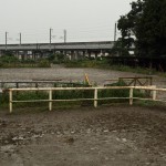 雨　と　ポケ