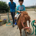 デビュー