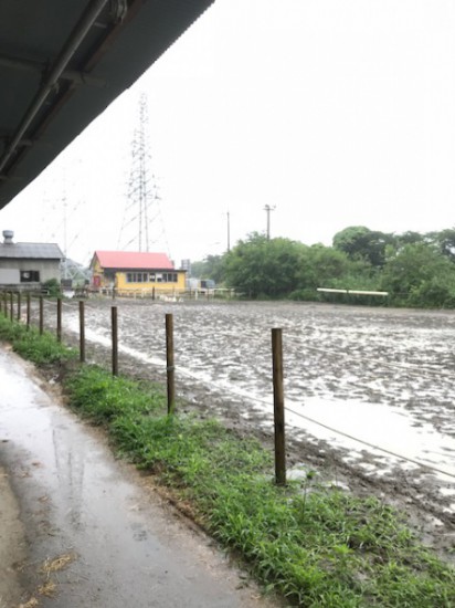 ６月２０日　馬場